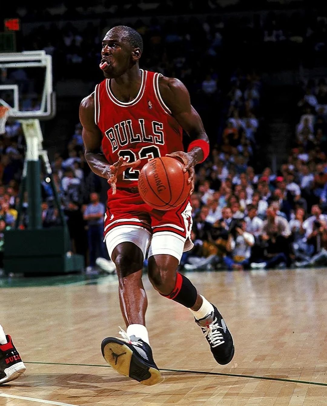 Jordan's arm span (Jordan's arm span shoulder width)